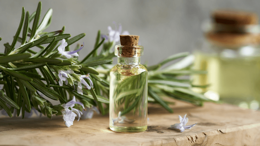 rosemary oil for hair growth